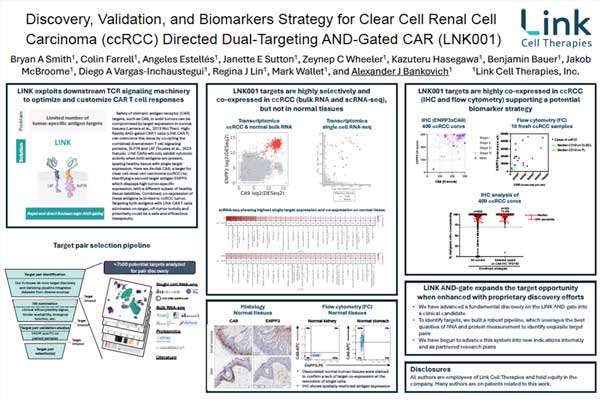 Discovery,-Validation,-and-Biomarkers-Strategy-for-Clear-Cell-Renal-Cell-Carcinoma-ccRCC-Directed-Dual-Targeting-AND-Gated-CAR-LNK001-thumb