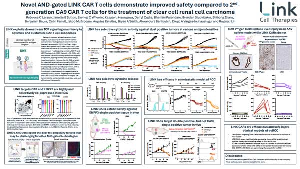 Novel-AND-gated-LINK-CAR-T-cells-demonstrate-improved-safety-compared-to-2nd-generation-CA9-CAR-T-cells-for-the-treatment-of-clear-cell-renal-cell-carcinoma-thumb
